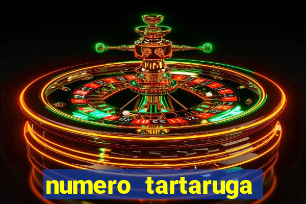 numero tartaruga jogo do bicho